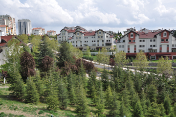 YEŞİL ALANLAR